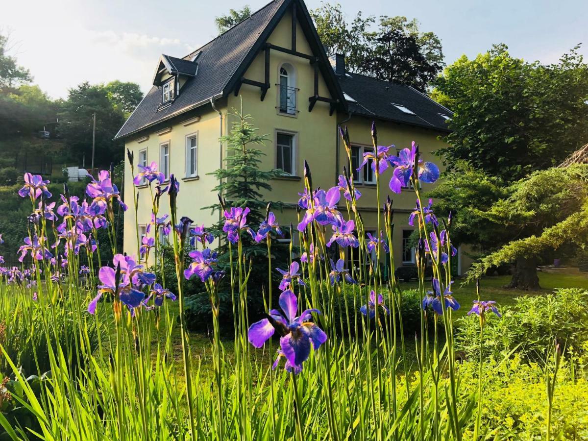 Ferienwohnungen Siebenlehn am Romanus Freibad Exterior foto